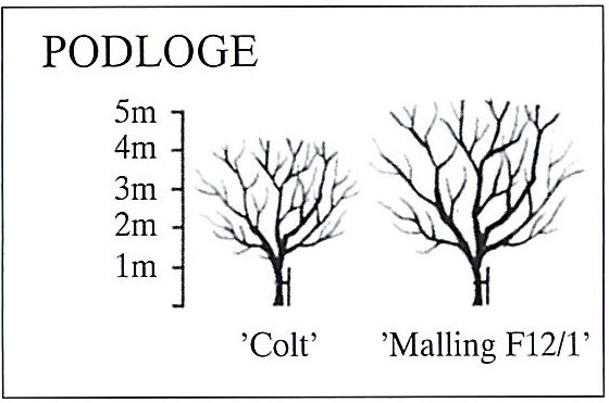 Podloga tresnje